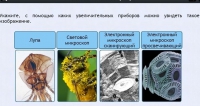 Интерактивные курсы. Биология 5 класс. Расширенный - fgospostavki.ru - Полевской