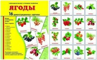Демонстрационные карточки "Ягоды" - fgospostavki.ru - Полевской