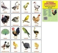 Раздаточные карточки "Птицы домашние и декоративные" - fgospostavki.ru - Полевской
