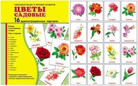 Демонстрационные карточки "Цветы садовые" - fgospostavki.ru - Полевской