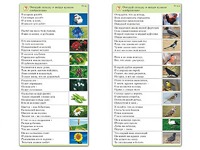 Комплект карточек (10) "Обучающий калейдоскоп. Природа" - fgospostavki.ru - Полевской