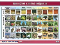 Таблица демонстрационная "Почвы, растения и животные природных зон" (винил 100*140) - fgospostavki.ru - Полевской