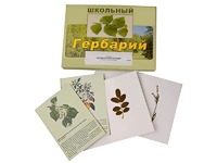 Гербарий "Деревья и кустарники" (22 вида, с иллюстрациями) - fgospostavki.ru - Полевской