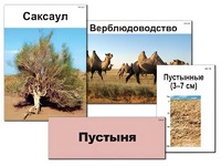 Модель-аппликация "Природные зоны России" (ламинированная) - fgospostavki.ru - Полевской