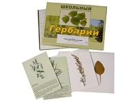 Гербарий "Лекарственные растения" (22 вида с иллюстрациями) - fgospostavki.ru - Полевской