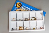 Коллекция "Раковины моллюсков" - fgospostavki.ru - Полевской