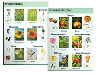 Коллекция "Семена и плоды" - fgospostavki.ru - Полевской