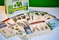 Гербарий к курсу основ общей биологии - fgospostavki.ru - Полевской