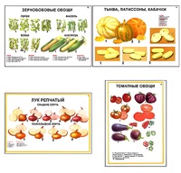 Плакаты ПРОФТЕХ "Ассортимент овощных культур" (12 пл, винил, 70х100) - fgospostavki.ru - Полевской