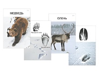 Комплект дидактических карточек "Следы на снегу" - fgospostavki.ru - Полевской
