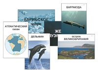 Модель-аппликация "Океаны. Знакомство" (ламинированная) - fgospostavki.ru - Полевской