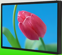 Киоск информационный настенный сенсорный 27" (вариант 1) - fgospostavki.ru - Полевской
