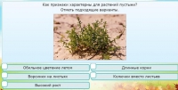 Интерактивные курсы. Окружающий мир 3 класс . Базовый. - fgospostavki.ru - Полевской