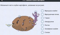 Интерактивные курсы. Биология 6 класс. Расширенный - fgospostavki.ru - Полевской