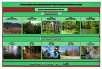 Стенд-планшет электрифицированный «Оценка пожарной опасности в лесах»  - fgospostavki.ru - Полевской
