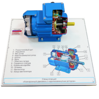 Стенд-планшет «Асинхронный двигатель с короткозамкнутым ротором» - fgospostavki.ru - Полевской