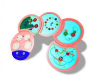 Тактильно-развивающая панель «Гусеница» - fgospostavki.ru - Полевской