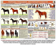 Комплект плакатов "Служебное коневодство" - fgospostavki.ru - Полевской