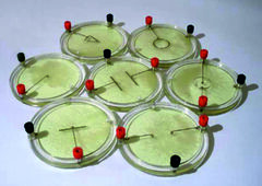 Демонстрационный комплект «Силовые линии электрического поля разных систем зарядов» - fgospostavki.ru - Полевской