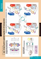 Комплект таблиц. Физика. Электромагнетизм. - fgospostavki.ru - Полевской