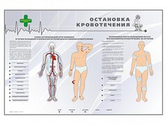 Электрифицированный стенд "Остановка кровотечения" - fgospostavki.ru - Полевской
