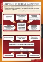 Комплект таблиц. ОБЖ. Здоровый образ жизни. - fgospostavki.ru - Полевской