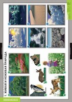 Комплект таблиц. Окружающий мир. Летние и осенние изменения в природе. - fgospostavki.ru - Полевской