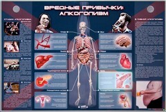 Электрифицированный стенд "Вредные привычки: алкоголизм" - fgospostavki.ru - Полевской