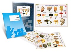 Комплект кодотранспарантов "Грибы" - fgospostavki.ru - Полевской