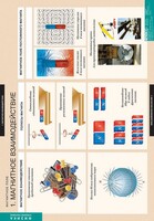 Комплект таблиц. Физика. Магнитное поле. - fgospostavki.ru - Полевской