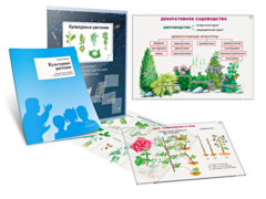 Комплект кодотранспарантов "Культурные растения" - fgospostavki.ru - Полевской