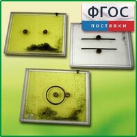 Набор для демонстрации электрических полей - fgospostavki.ru - Полевской