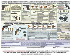 Плакат "Оружие ударно-травматического действия" - fgospostavki.ru - Полевской