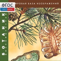 Ботаника. Микрофотографии. (Цифровая база изображений) - fgospostavki.ru - Полевской