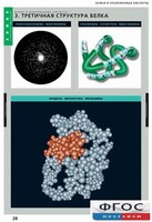 Комплект таблиц. Химия. Белки и нуклеиновые кислоты. - fgospostavki.ru - Полевской