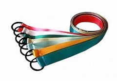 Лента гимнастическая на кольце (0,25 метра) - fgospostavki.ru - Полевской
