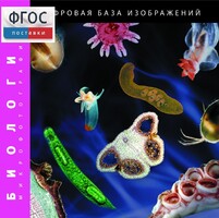 Биология. Микрофотографии. (Цифровая база изображений) - fgospostavki.ru - Полевской