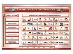 Трехсекционный базовый комплект "Травмы. Кровотечения. Ожоги" для учащихся общеобразовательных учреждений - fgospostavki.ru - Полевской
