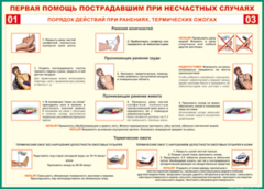 Таблица "Порядок действий при ранениях и термических ожогах" (100х140 сантиметров, винил) - fgospostavki.ru - Полевской