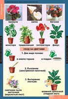 Комплект таблиц. Окружающий мир 1 класс. - fgospostavki.ru - Полевской