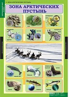 Комплект таблиц. Окружающий мир 4 класс. - fgospostavki.ru - Полевской