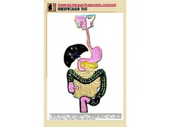 Рельефная таблица "Пищеварительный тракт" (формат А1, матовое ламинирование) - fgospostavki.ru - Полевской