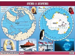 Таблица демонстрационная "Арктика и Антарктика" (винил 100*140) - fgospostavki.ru - Полевской