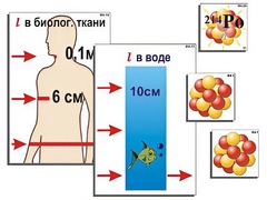 Модель-аппликация "Явление радиоактивности" (ламинированная) - fgospostavki.ru - Полевской