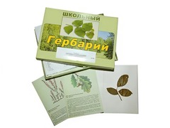 Гербарий "Дикорастущие растения" (30 видов, с иллюстрациями) - fgospostavki.ru - Полевской