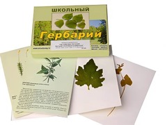 Гербарий "Систематика растений. Высшие споровые и семенные" (раздаточный) - fgospostavki.ru - Полевской
