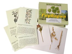 Гербарий "Систематика растений. Семейство Бобовые. Злаки" (раздаточный) - fgospostavki.ru - Полевской