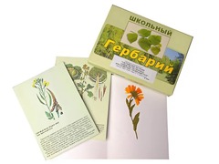 Гербарий "Систематика растений. Семейство Пасленовые. Крестоцветные. Сложноцветные" (раздаточный) - fgospostavki.ru - Полевской