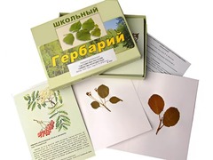 Гербарий "Систематика растений. Семейство Розоцветные" (раздаточный) - fgospostavki.ru - Полевской