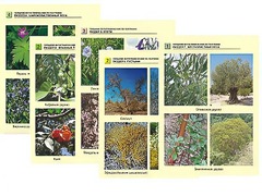 Гербарий фотографический по географии - fgospostavki.ru - Полевской